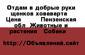 Отдам в добрые руки щенков ховаварта › Цена ­ 200 - Пензенская обл. Животные и растения » Собаки   